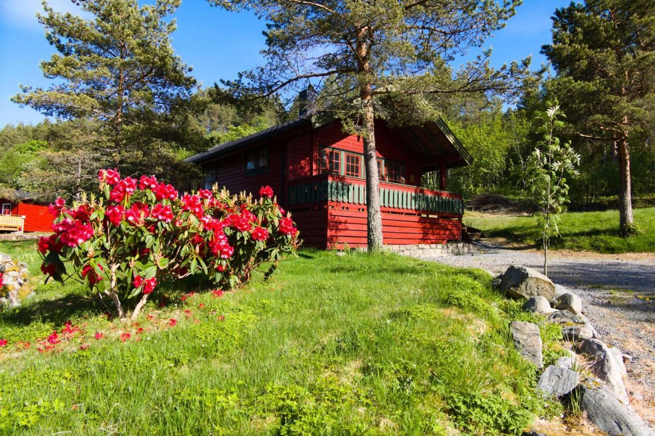 Sjoholt Camping Villa Exterior foto